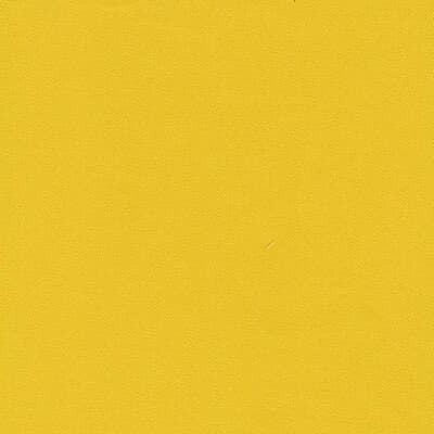 Brisbane Moss / Bright Yellow