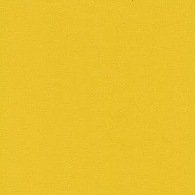 Brisbane Moss / Bright Yellow