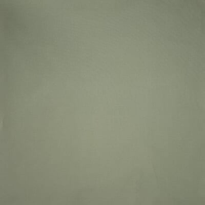 Brisbane Moss / Sage 2545
