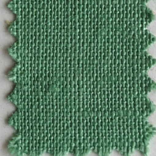Brisbane Moss Mint