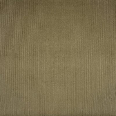 Brisbane Moss : beige