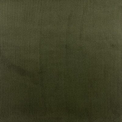 Brisbane Moss : dark olive