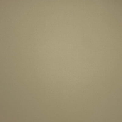 Brisbane Moss / Putty 03